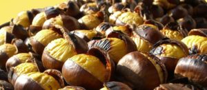 sagra castagna Martirano Lombardo ritaglio 2