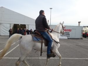 Fieragricola giornata conlusiva 1