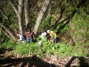 A - pulizia amato 01