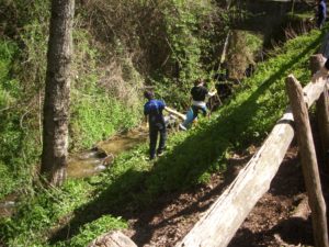 A - pulizia amato 02