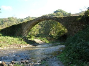 ponte scigliano 1
