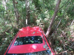 Carlopoli incidene auto atv nel dirupo