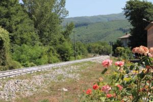 viaggi treno Ferrovie della Calabria tratta ferrata Decollatura