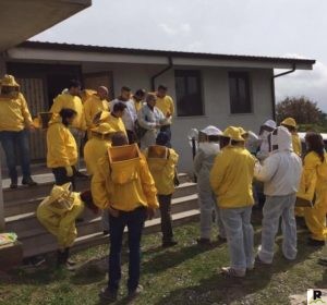 corso-apicoltura-foto-1