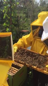 corso-apicoltura-foto-3
